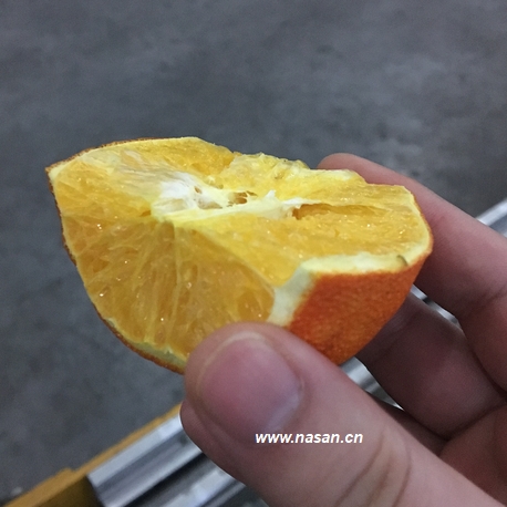Orange Dryer